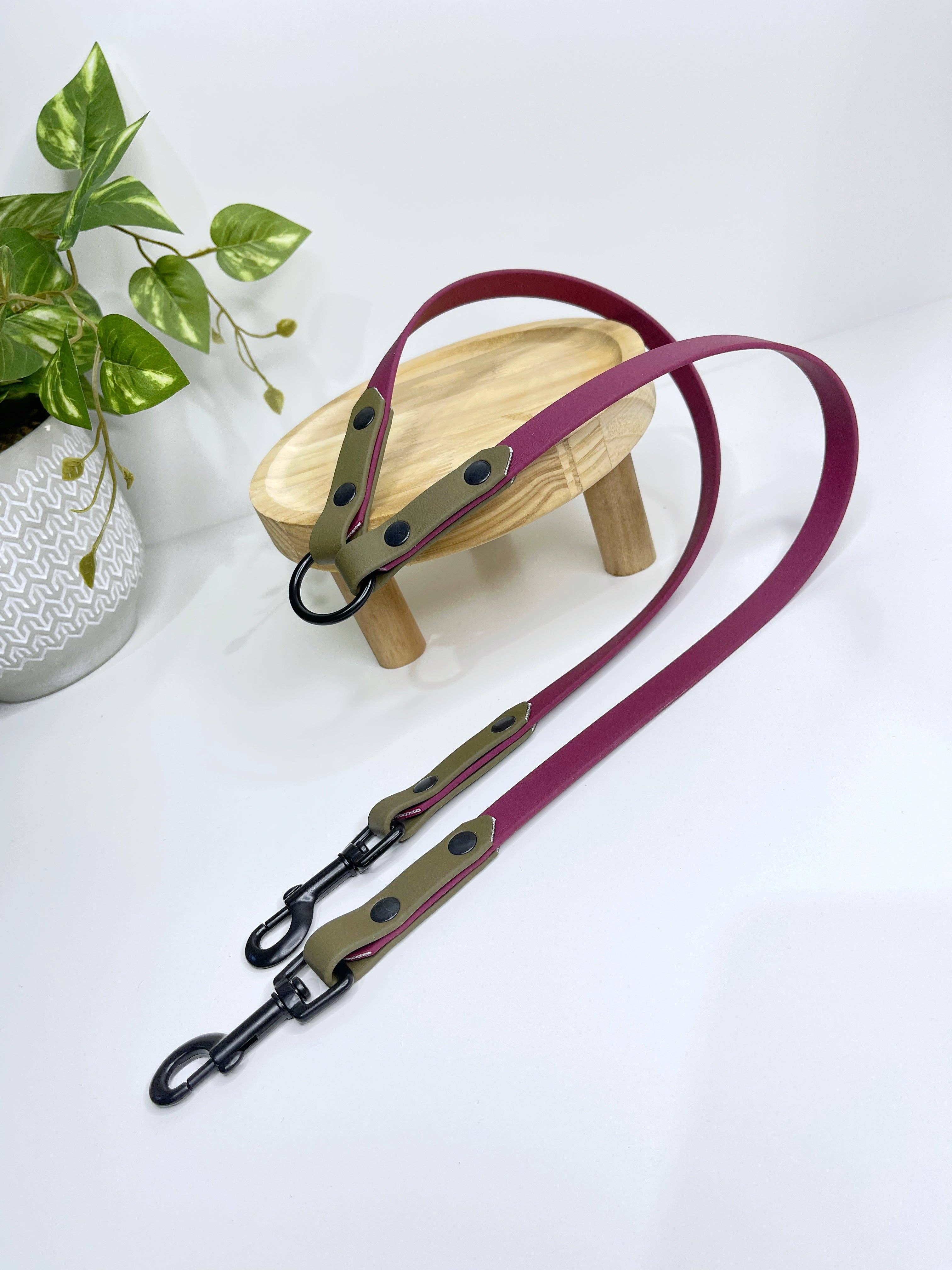 My Pawchella - Venta al por mayor Correa - Perros - Biothano/divisor de correas de colores19