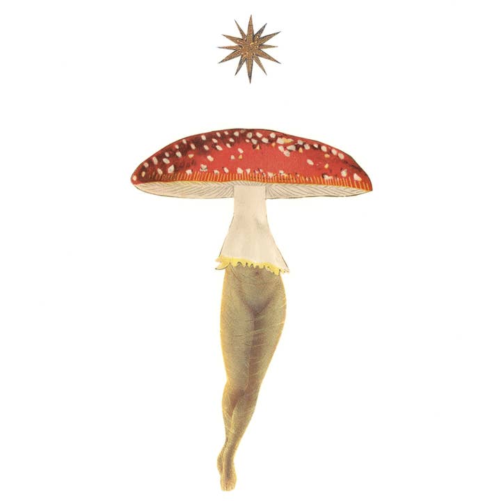 Stampa Amanita Star rossa per la vendita all'ingrosso da parte di Nature Morph