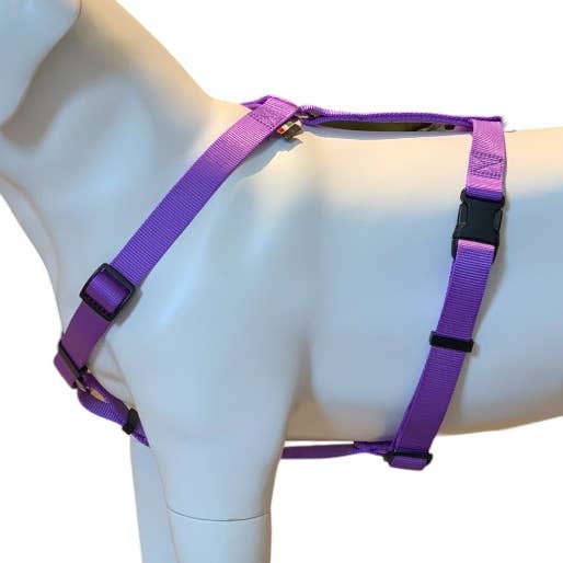 H-vormig nylon hondenharnas, gemaakt in Italië voor wholesale door DELA