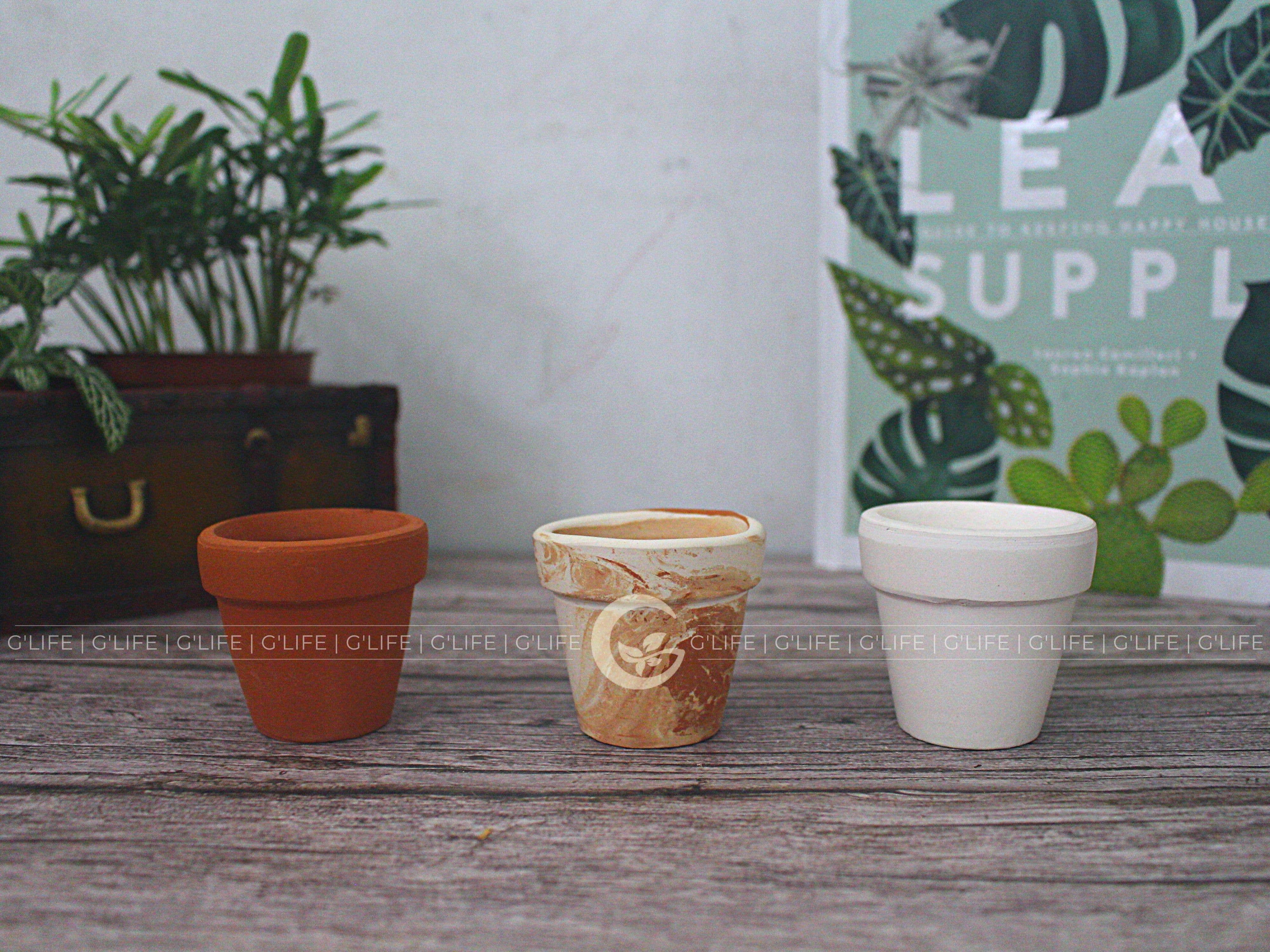 GLifee - Wholesale Plant Pot - 2" Tiny Terracotta Clay Plant Flower Pot - Drainage Hole3