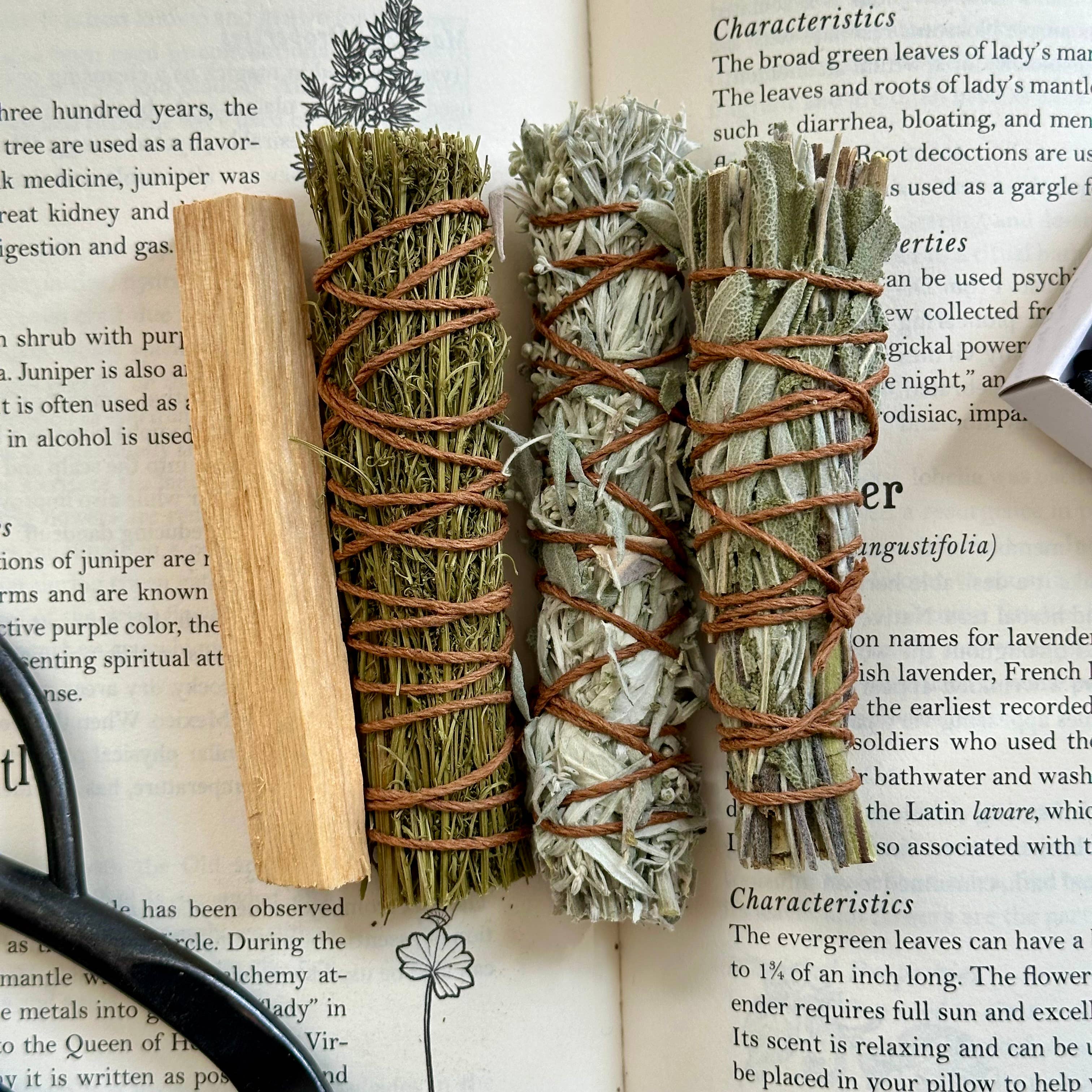 erba - Wholesale Sage Bundle - Energy Cleansing Sampler Set10