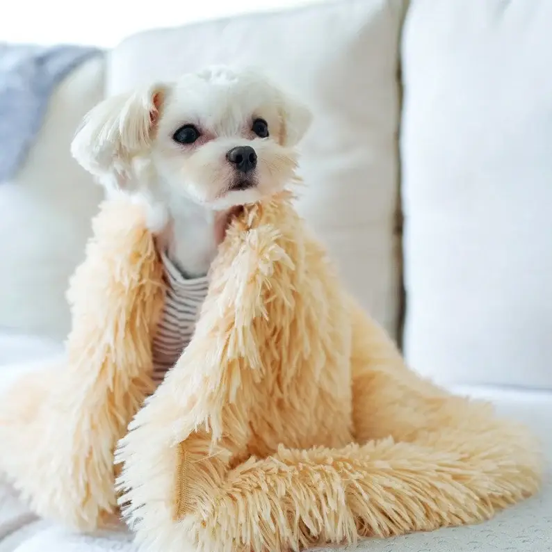 FurRoom – wholesale Pet blanket – Cat/dog – Absolutely non-shed pet calming blanket, machine washable3