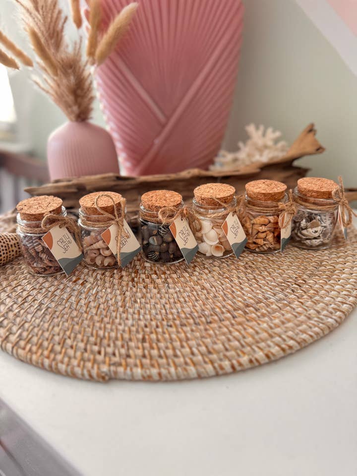 Mini Jars of Assorted Shells | Set of 8 for wholesale by Salty Sea Company