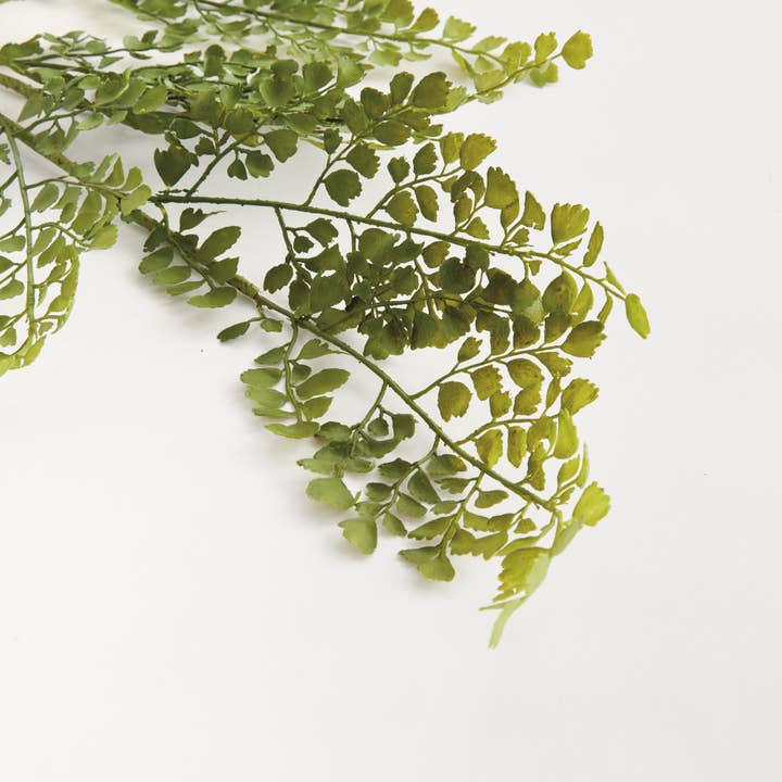 Napa Home & Garden - Wholesale Artificial Plant - Maidenhair Faux Fern Stem