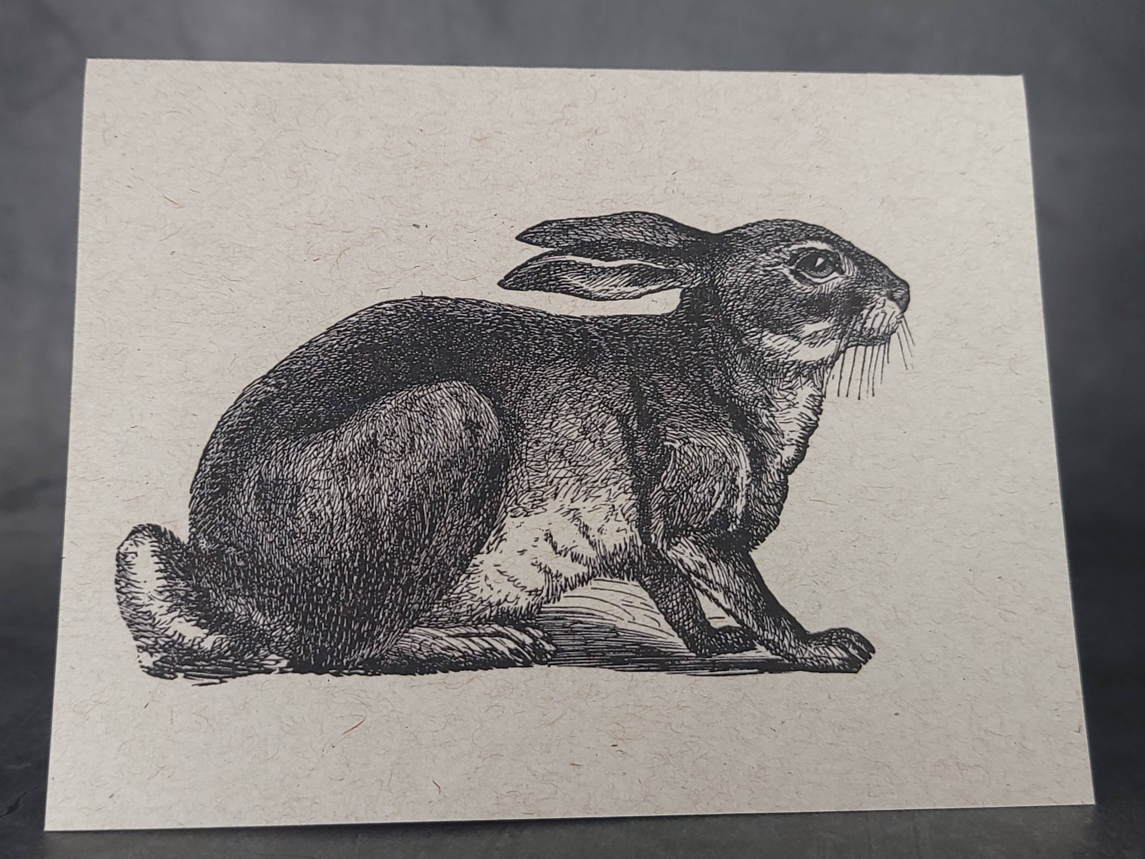 Superior Dry Goods - Wholesale Everyday Greeting Card - "Rabbits" Recycled Greeting Cards | Handcrafted3