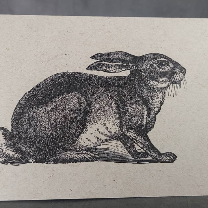 Superior Dry Goods - Wholesale Everyday Greeting Card - "Rabbits" Recycled Greeting Cards | Handcrafted3