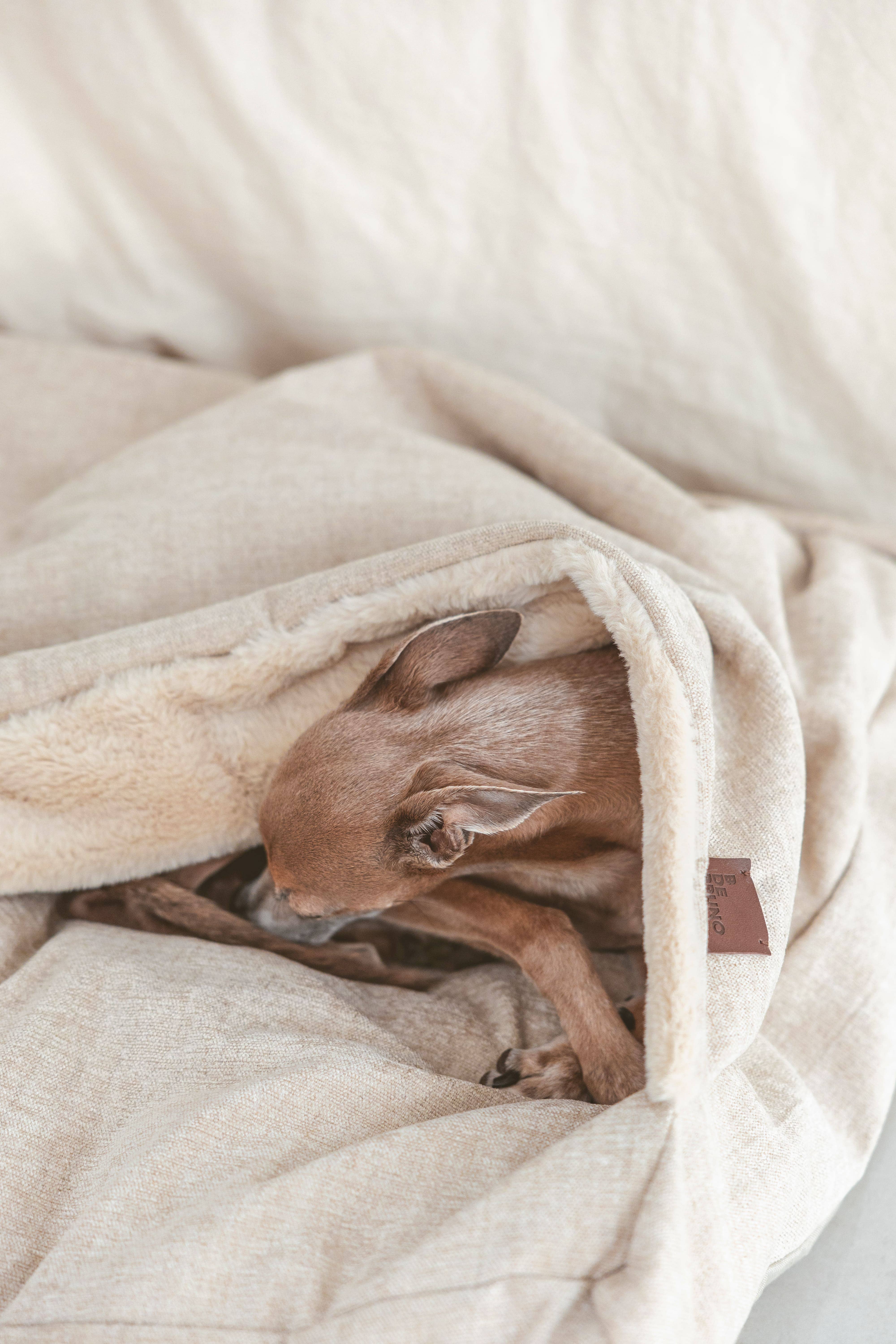 B de Bruno - Wholesale Pet Bed - Cat/Dog - Tahoe Premium Bed (Removable Cover)1