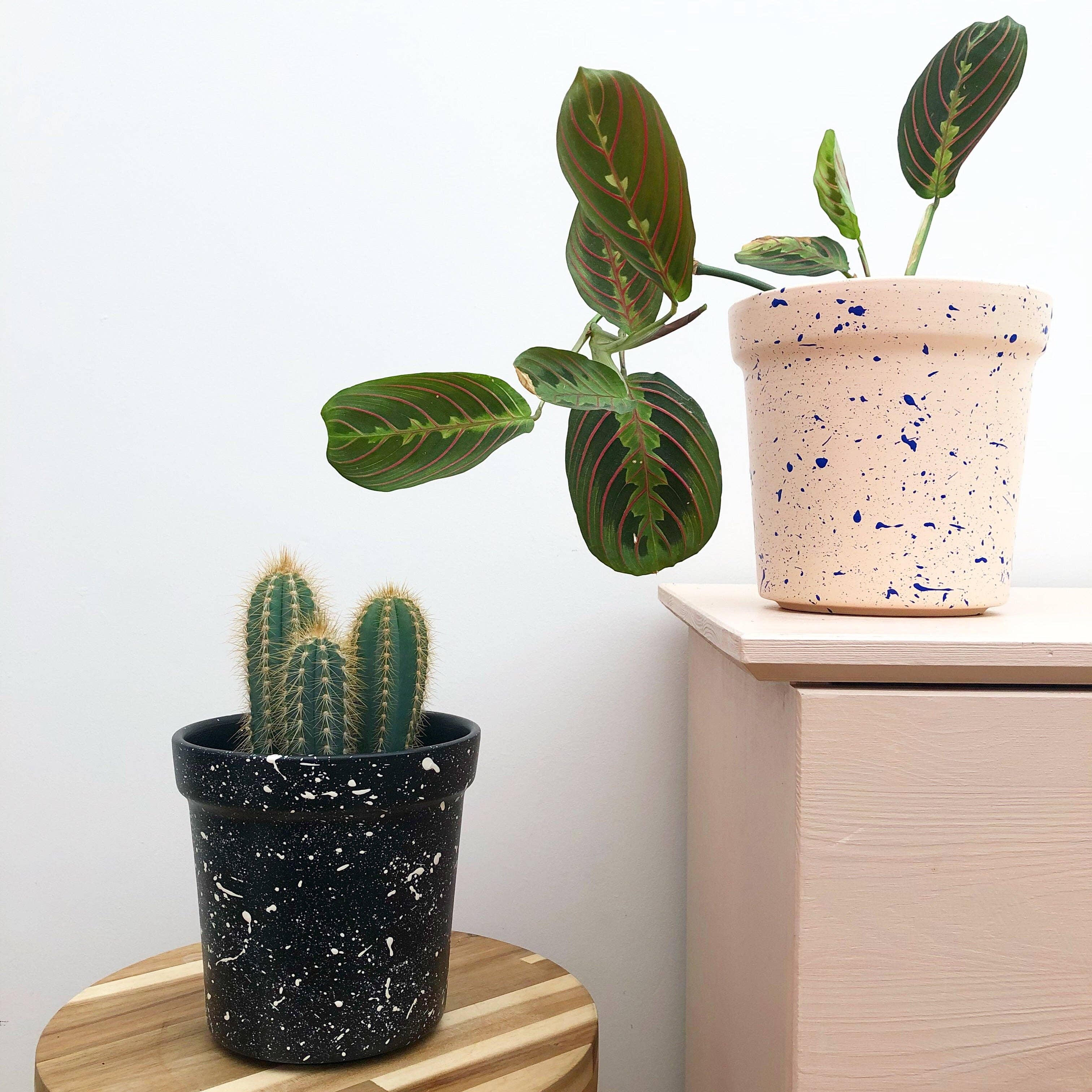 Hello Marilu - Wholesale Plant Pot - Large Splatter Plant Pots - Choose your colours7