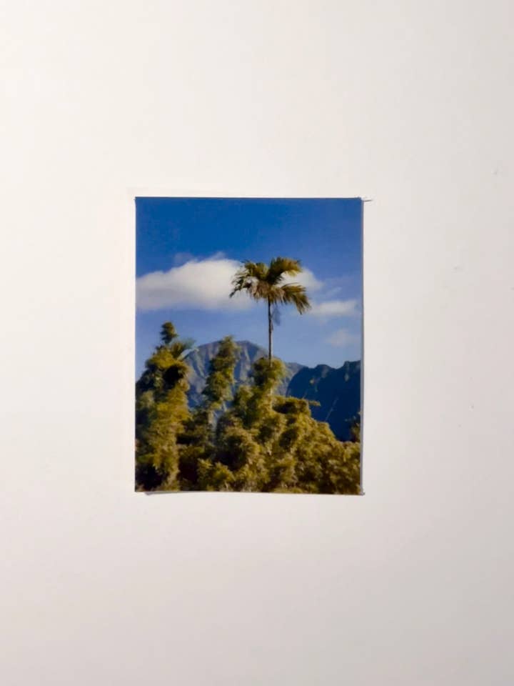 Diamondhead-krater-klistermærke for engroshandel hos Stickin with Coconut