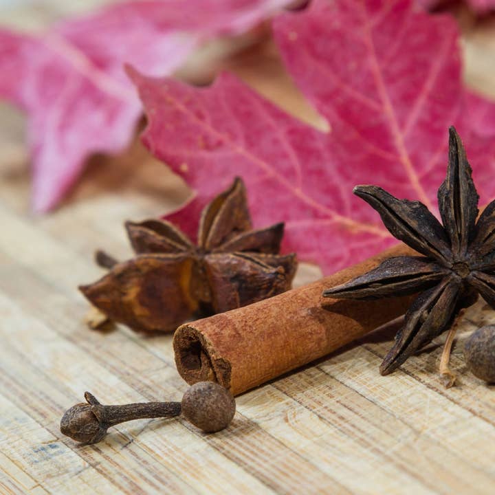 Bâtonnets d'encens aux épices d'automne pour la vente par Beaches of Tunisia, LLC