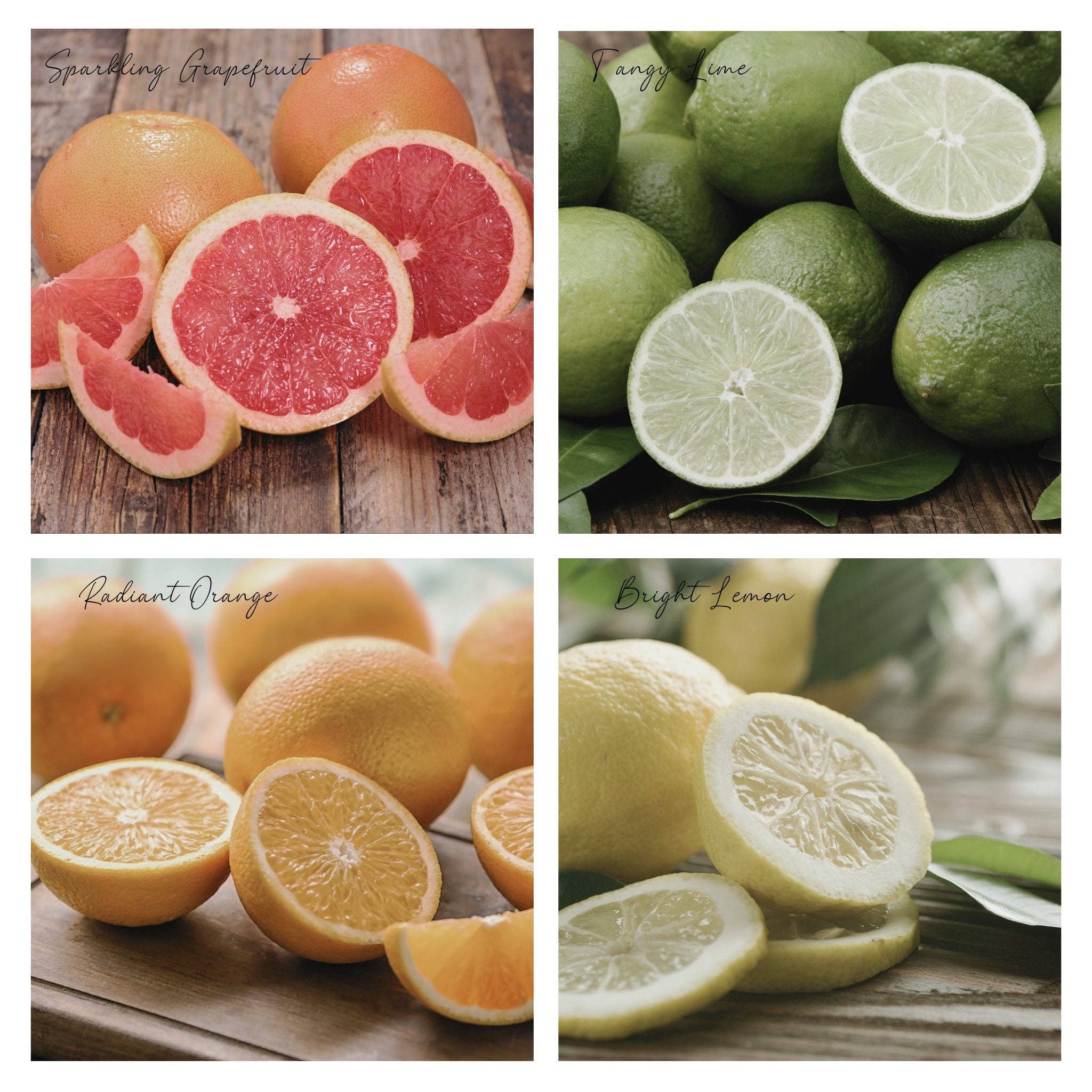 Simmer and Co Natural Aroma – wholesale Potpourri – Be Balmy Simmer Pot Mix, Natural Citrus Grove Aroma2