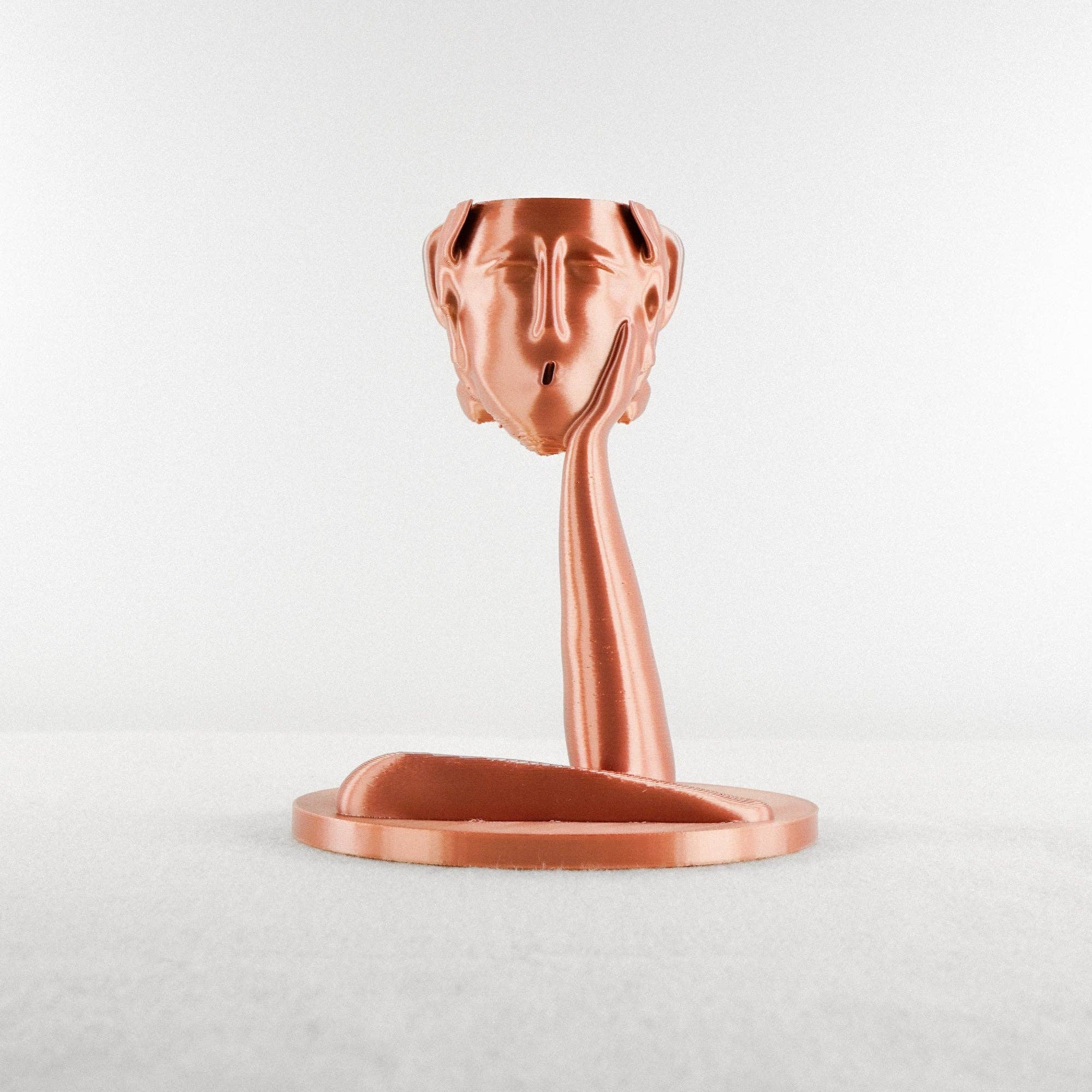 Rosebud Homegoods - Vente Pot - Jardinière Tête Méduse Air16