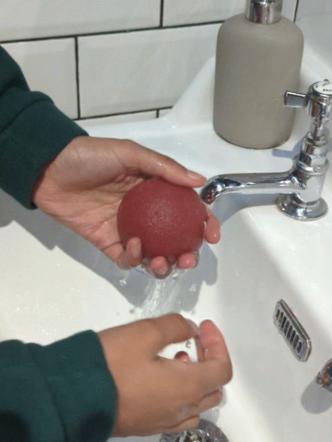 ecojiko - Wholesale Bath Pouf/Sponge - Natural Konjac Cleansing Sponge | Plant Based Natural Beauty Sponge5