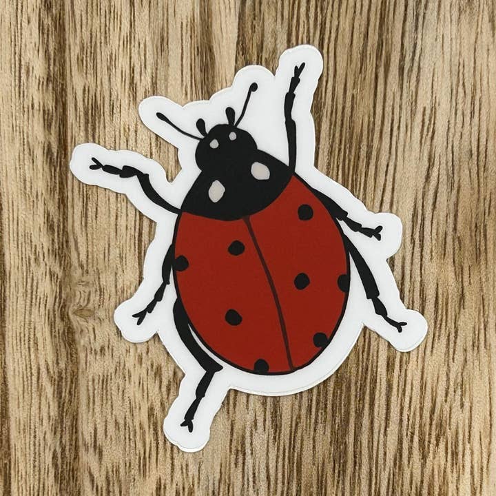 Adesivo coccinella per la vendita all'ingrosso da parte di Earthly Matters