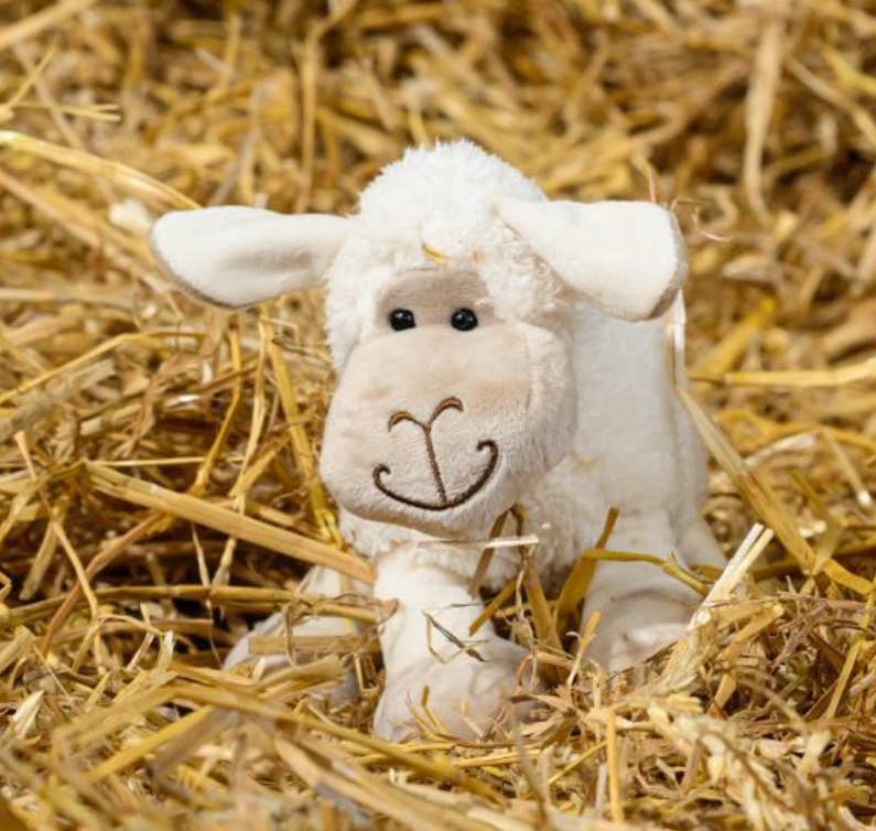 Jomanda Soft Toys & Accessories - Wholesale Knuffels - Kinderen en baby - Kleine witte knuffelknuffel van schapen, 18 cm8