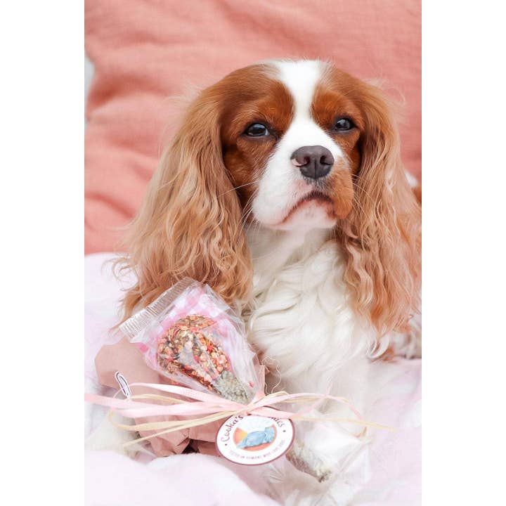 Belpharmed bv: Cooka's Cookies & Sensidog - Wholesale Pet Treats - Dog - Lollipop - Valentine's Day Edition3