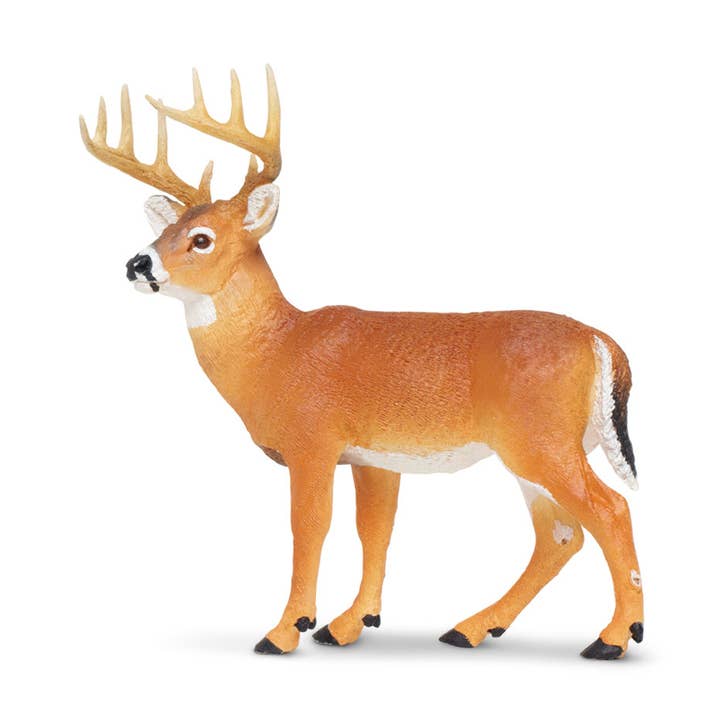 Whitetail Buck - 180029 for wholesale by Safari Ltd.