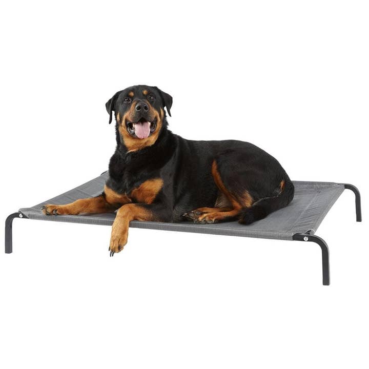 Bunty Pet Products Ltd - Wholesale Pet bed – Dog - Raised Dog Bed, Elevated, Waterproof Outdoor - Bunty8