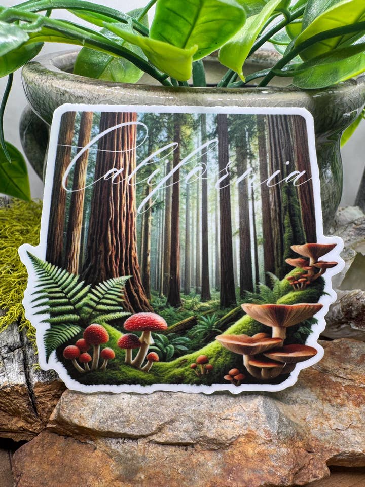 California Redwoods Forest Mushroom Vinyl Sticker for wholesale by California Dreaming Co