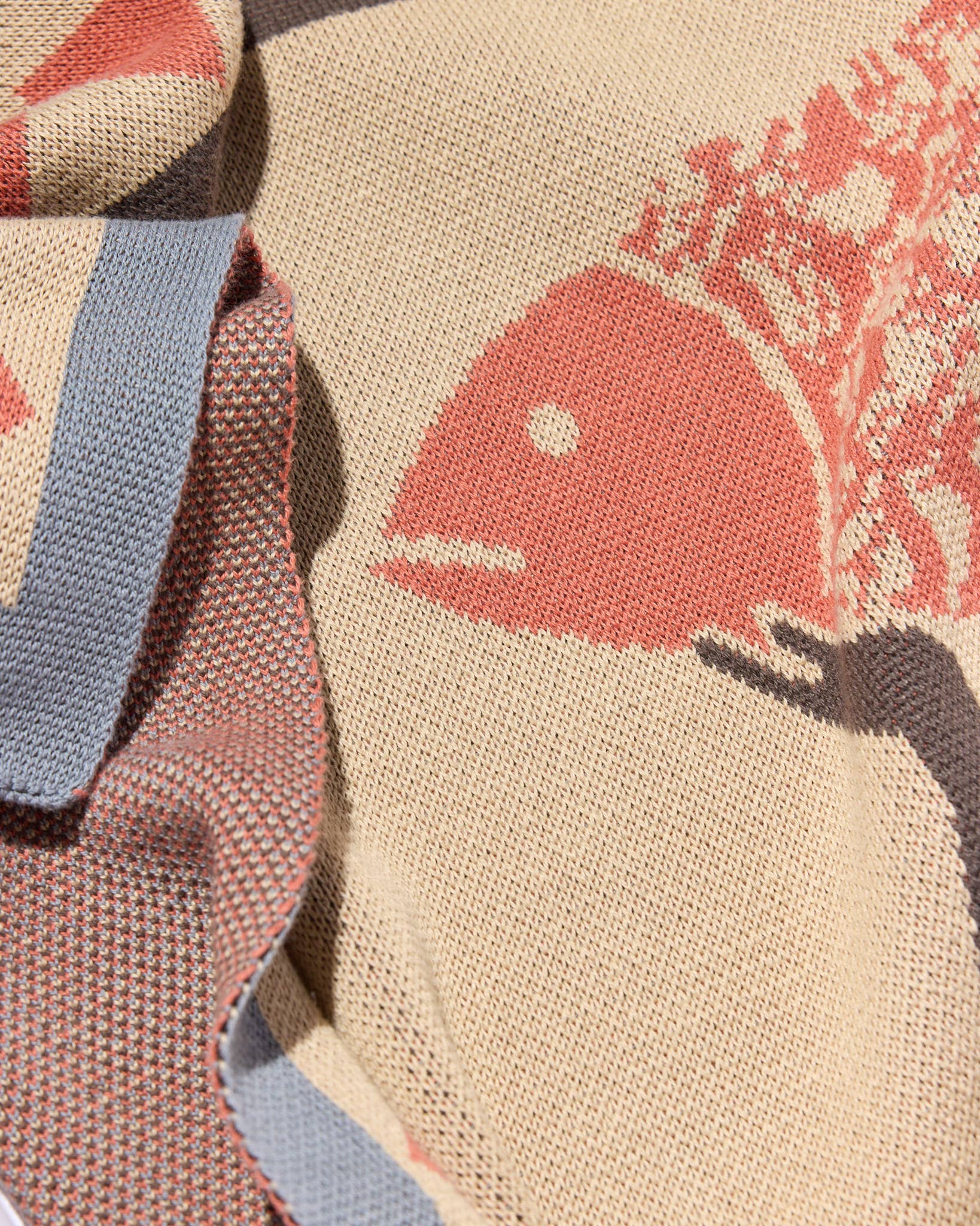 Biquette - Vendita all'ingrosso Plaid - Un Beau Poisson - Coperta da Lancio Lavorata a Maglia - Cotone - Prodotta negli USA15