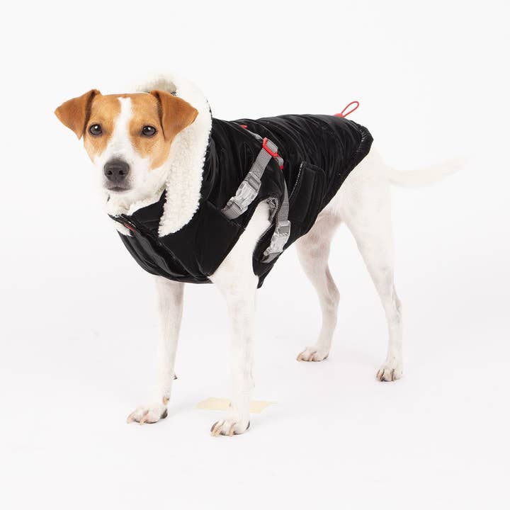 Zara Puffer Dog Jacket for wholesale by Silver Paw
