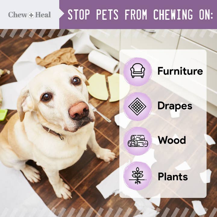 Chew + Heal – Großhandel Haustierspray – Hund – Kein Kauspray für Hunde & Katzen| Anti-Kauspray| Kauen+Heilen