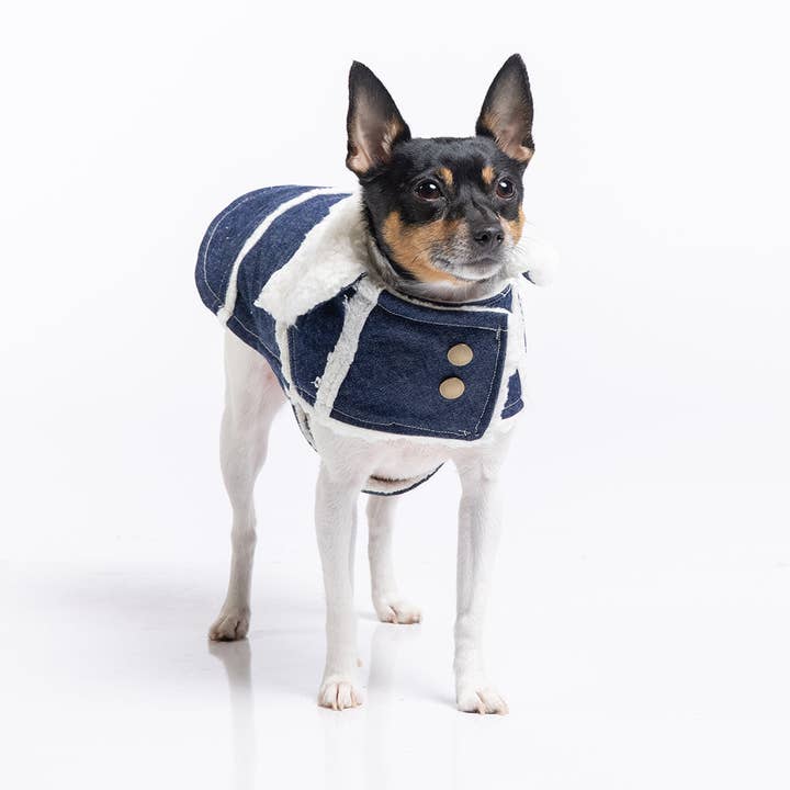 DCNY Sherpa gevoerde denim ranchjas voor wholesale door DoggieCoutureNY