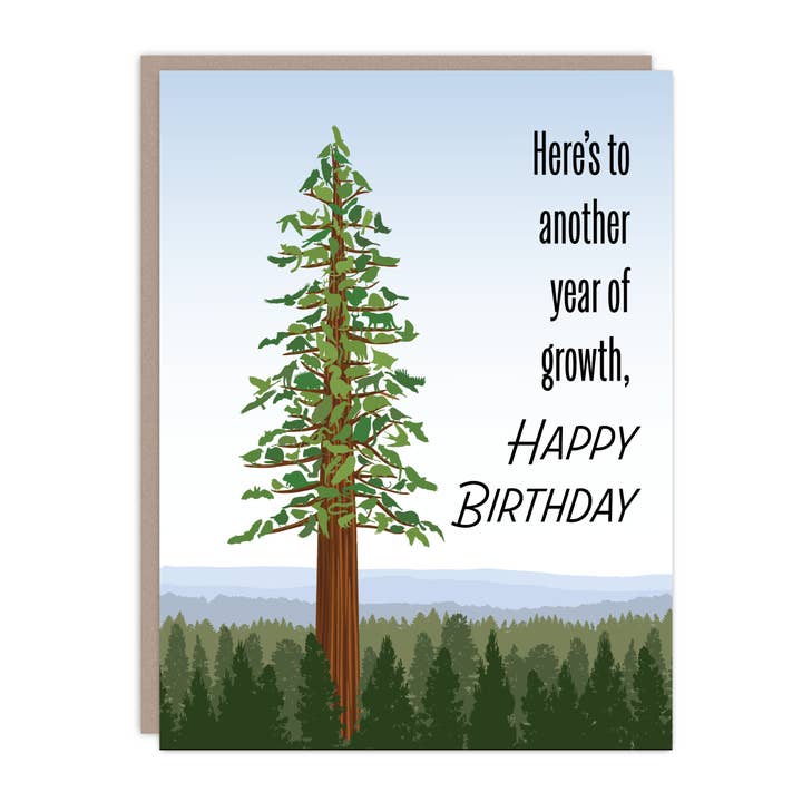 Redwood Tree Birthday Recycled Blank Card for wholesale by Alice Frost Studio