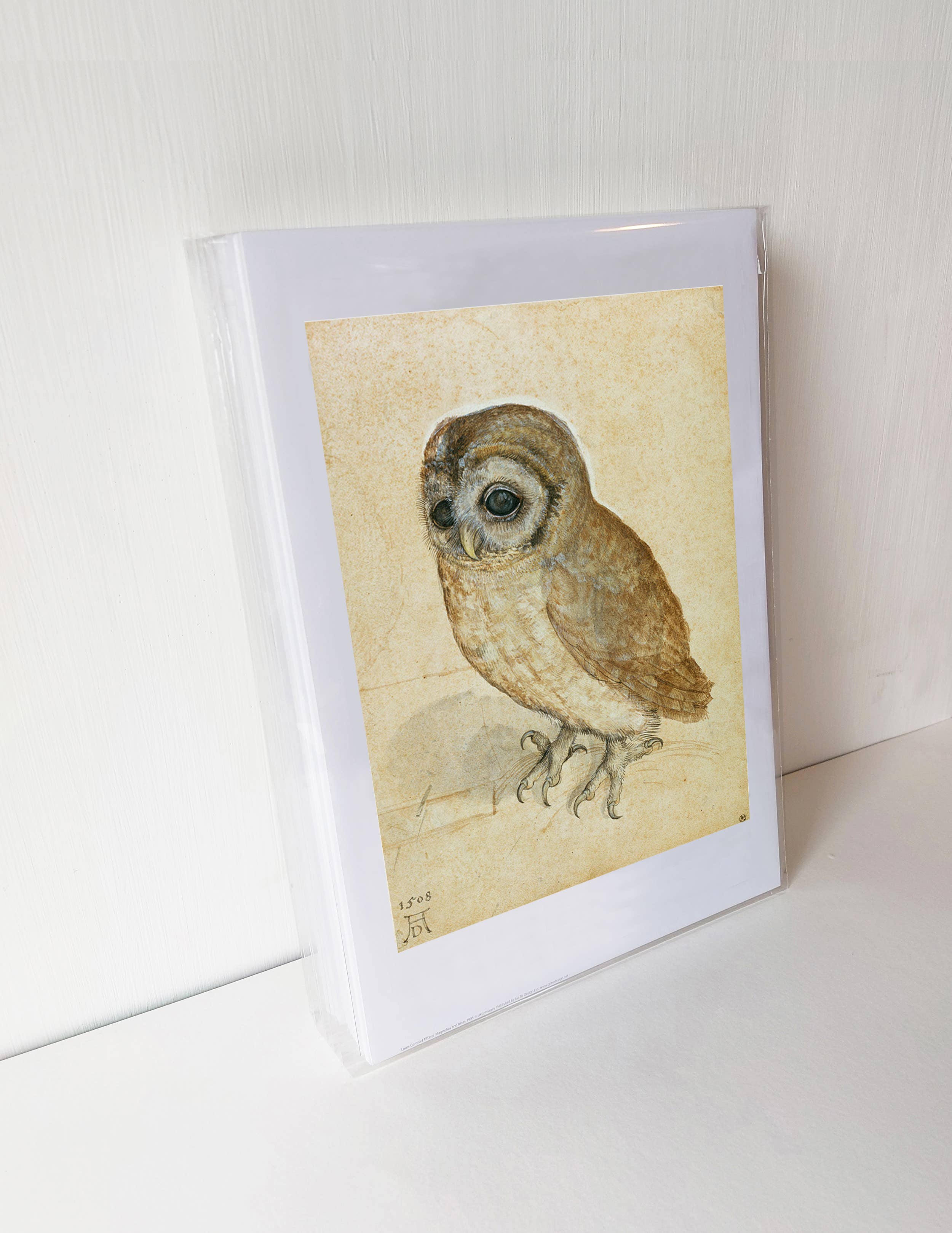 Go To Design - Wholesale Art Print - Fine art print Little Owl by Durer unframed wall art1