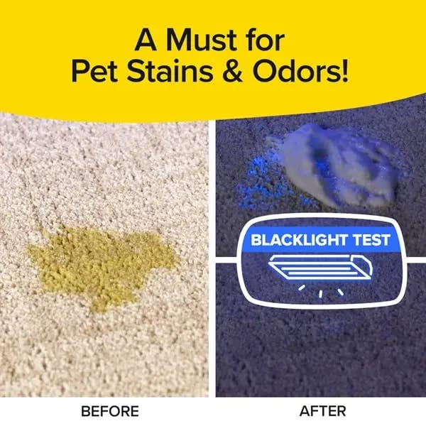 BulbHead - Wholesale Rug Cleaner - Bull Shot Carpet Spot/Stain Remover | Made in USA | 18oz2