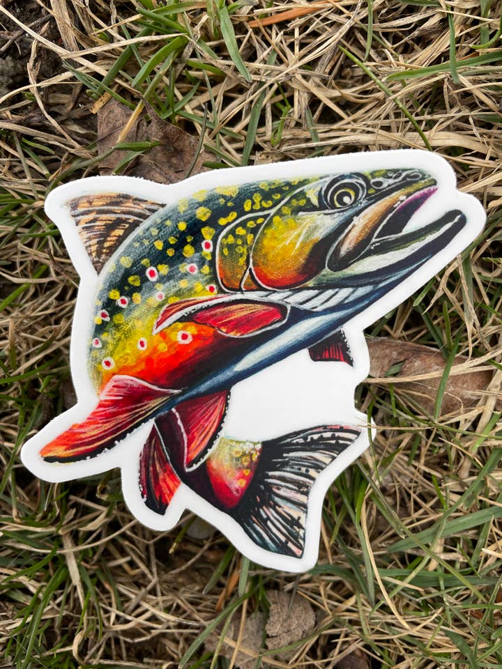 Adesivo Rainbow Trout 2.0 per la vendita all'ingrosso da parte di Willough Designs