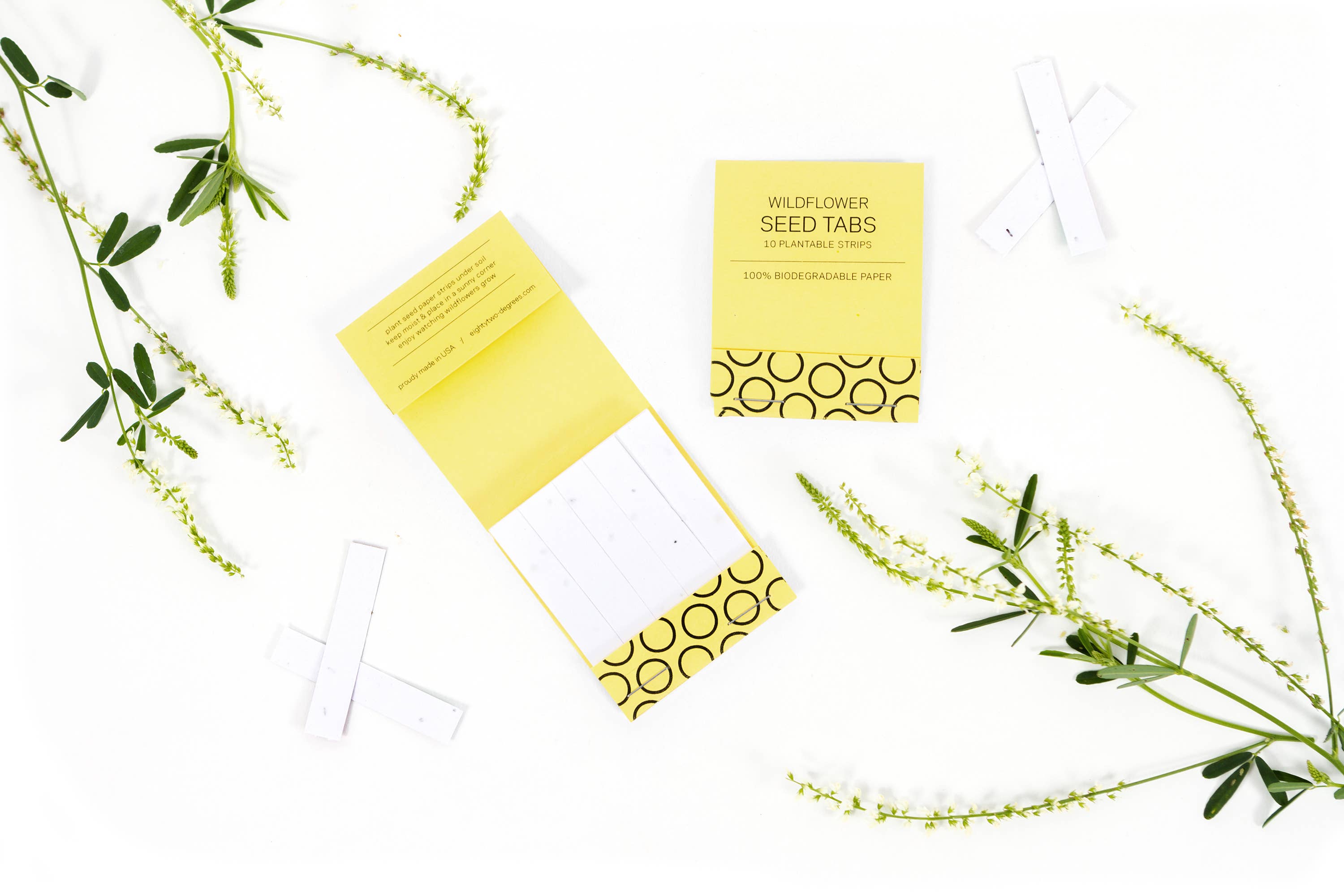 Studio 82° - Wholesale Plant Seeds - Wildflower Seed Tab Booklet - Mustard Yellow8