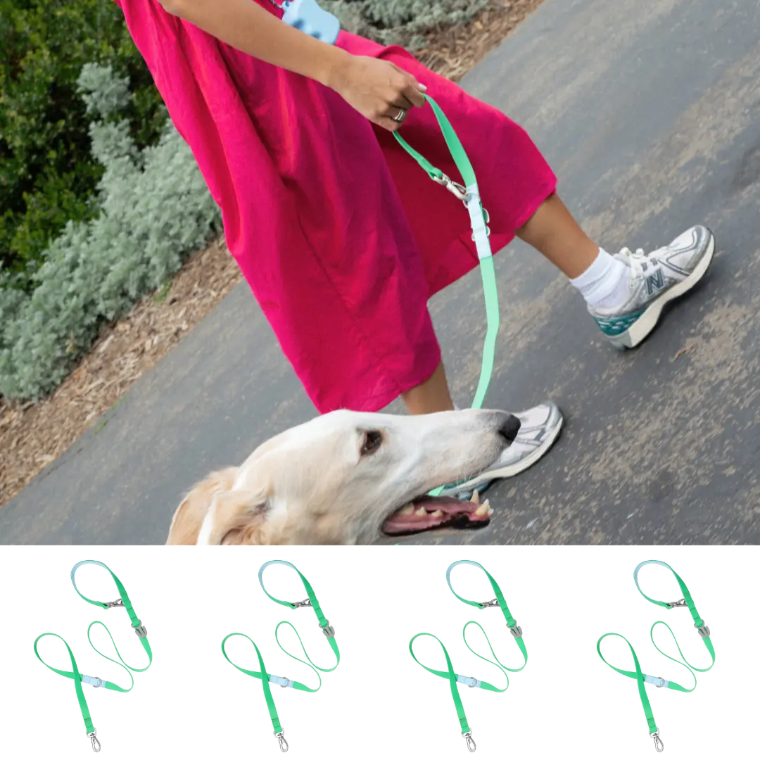 Springland Pets - Wholesale Pet Leash - Dog - Waterproof City Dog Leash, Short Dog Leash (4 Pack)8
