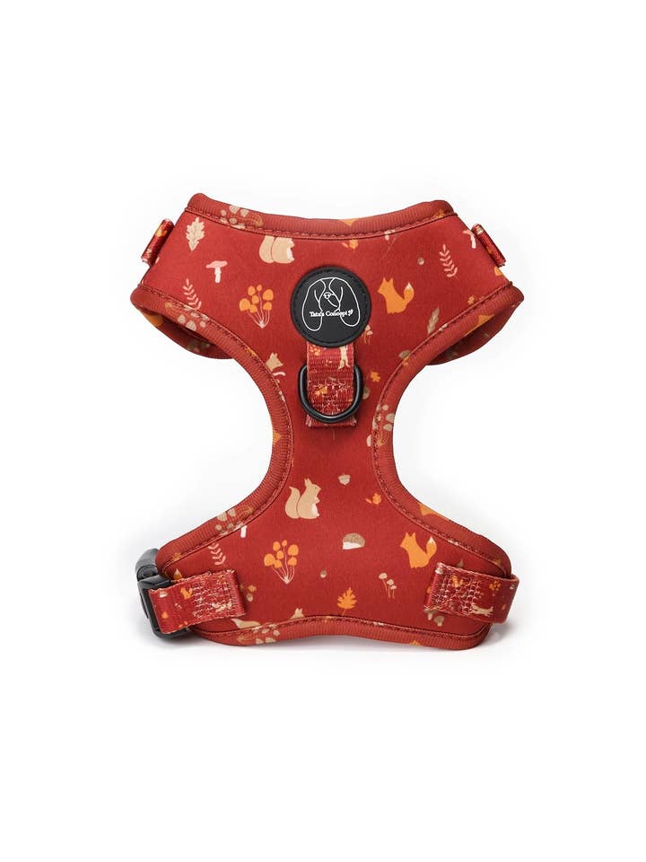 Collant Foxy Lover per la vendita all'ingrosso da parte di Tata’s Concept