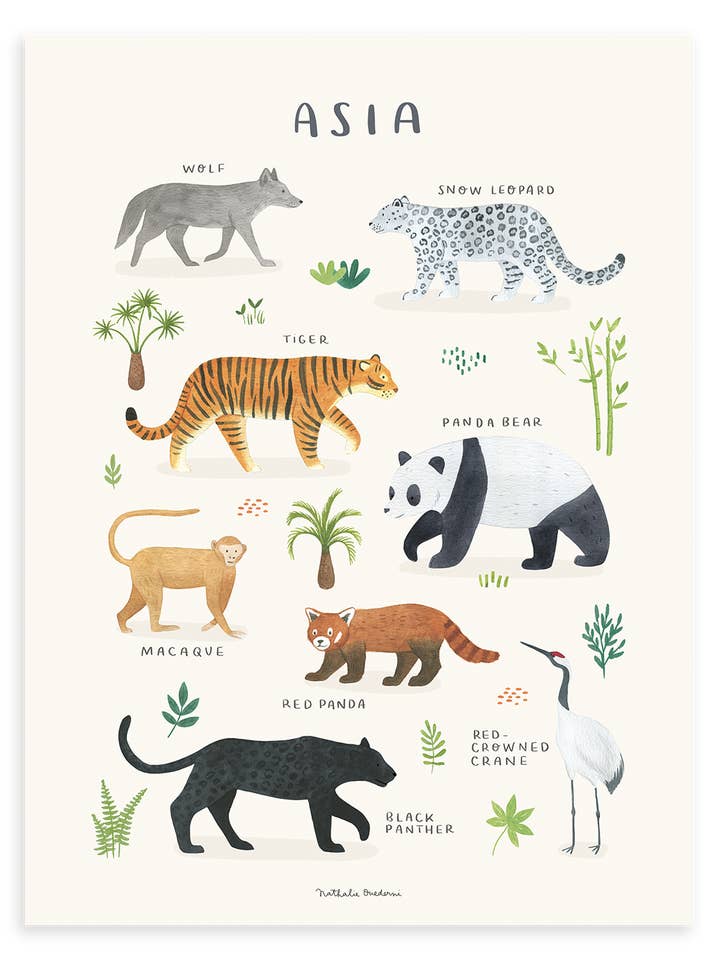 LIVING EARTH - Aziatische dierenposter zonder kader (P0331) voor wholesale door LILIPINSO