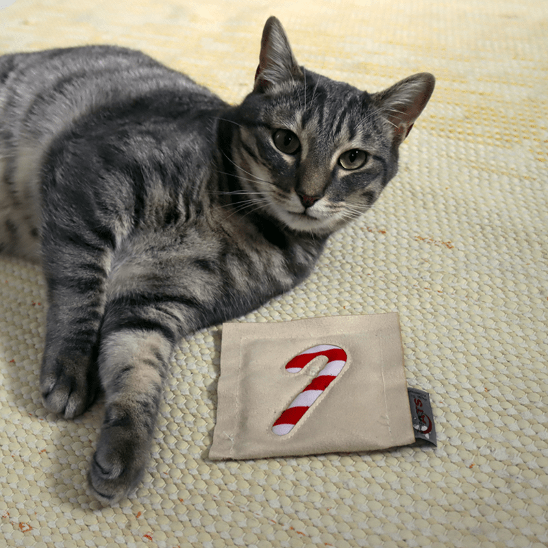 4cats Heimtierbedarf GmbH - Wholesale Pet Toy - Cat - 4cats Xmas Motif Cushion Catnip - 12 Pieces13