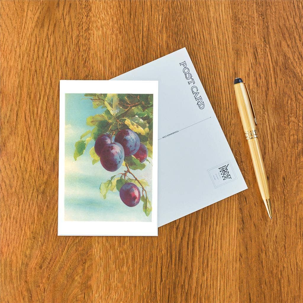 Found Image Press - Wholesale Postcard - Postcard FR-243 Plums on Tree1