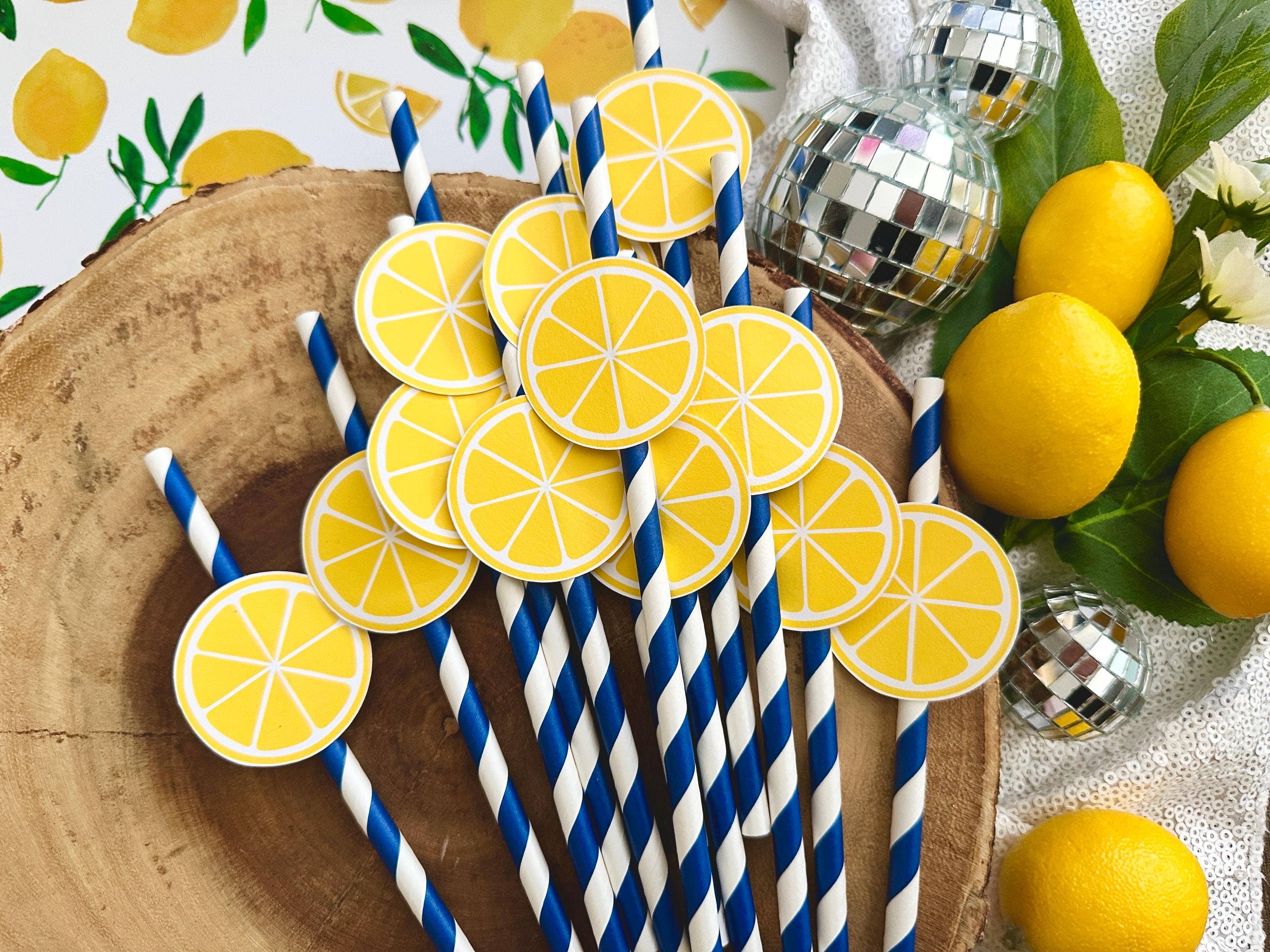 The Haus of Holly – wholesale Drinking straw – 12 LEMON STRAWS1