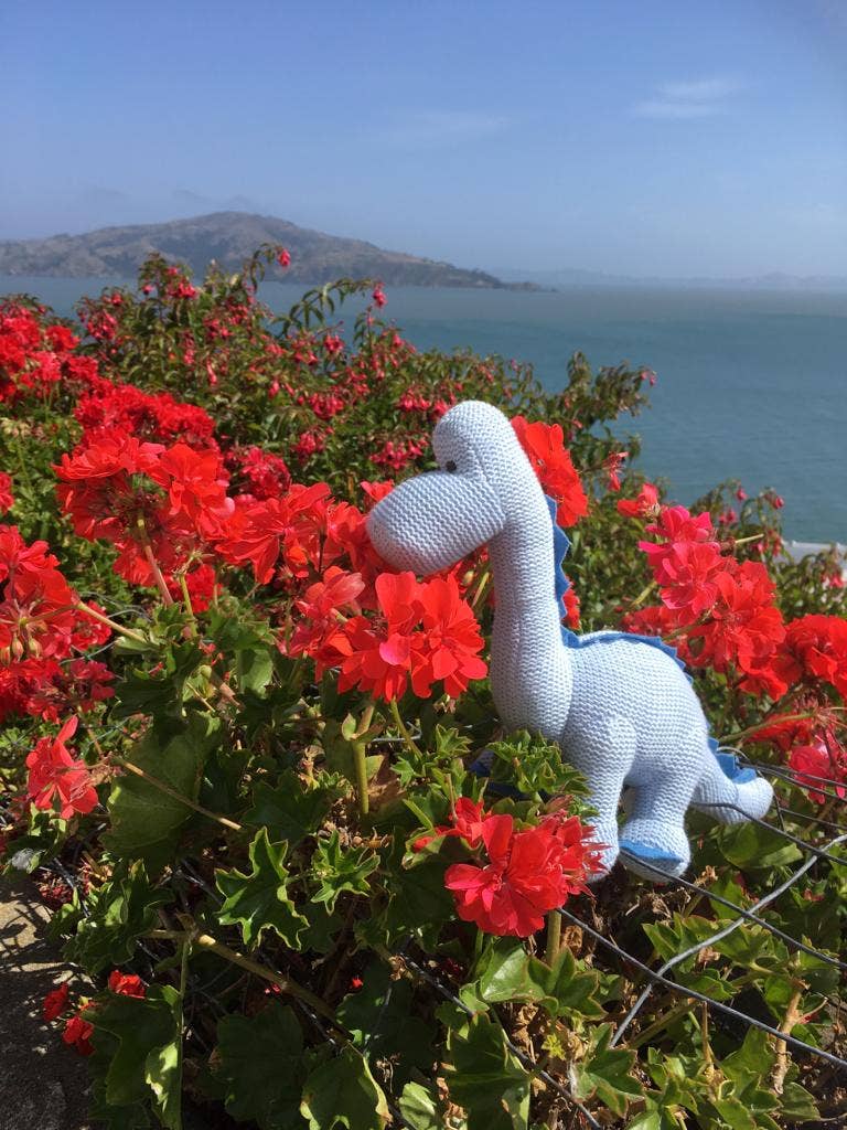 Best Years Ltd – wholesale Handheld rattle – Baby – Knitted Organic Cotton Blue Diplodocus Dinosaur Baby Rattle10