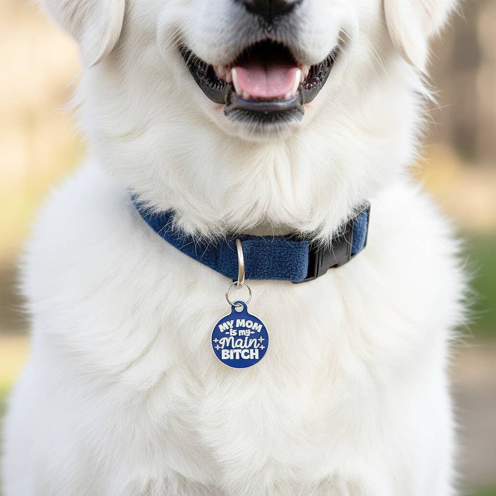 Bad Tags – Großhandel Halsband-Anhänger – Katze/Hund – Personalisierter Haustier-ID-Anhänger mit scannbarem Code - Mama, meine Hauptbitch8