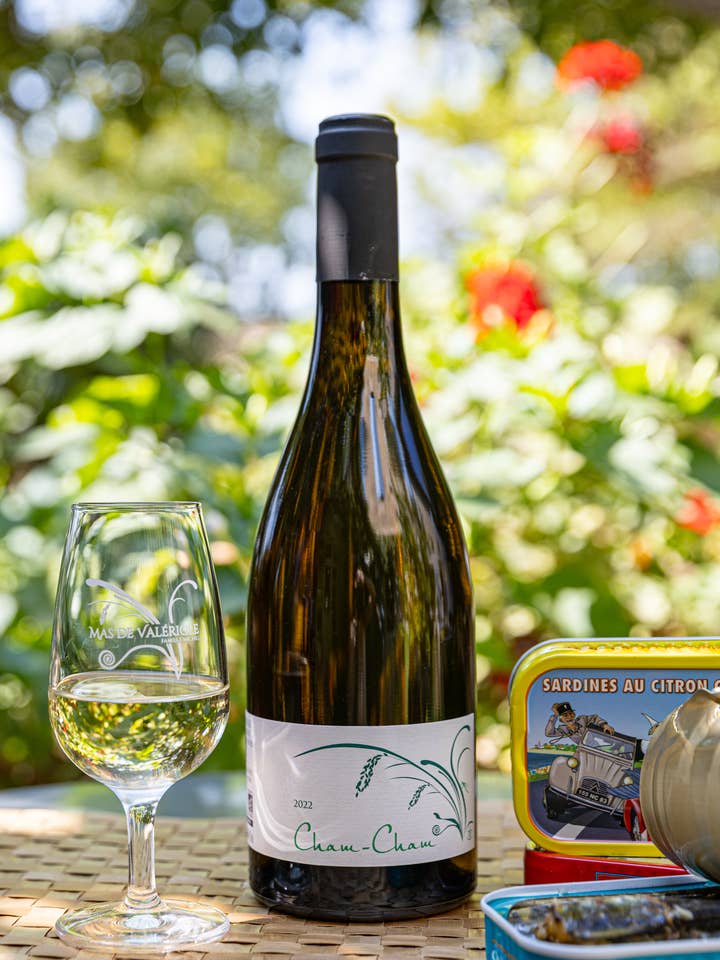 CHAM-CHAM BIANCO 2023 - SELEZIONE PARCELLARE - BIO per la vendita all'ingrosso da parte di Mas de Valeriole