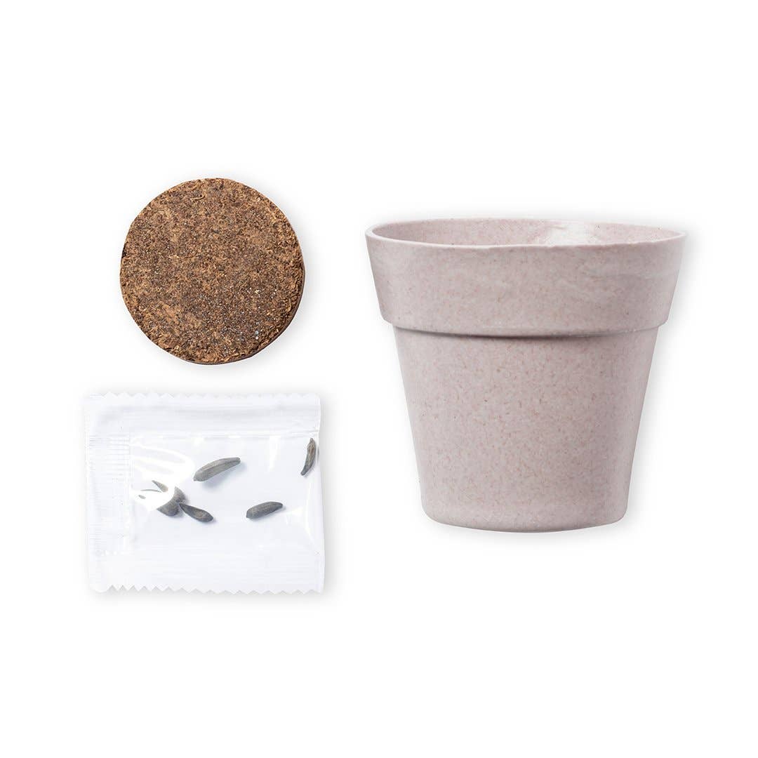 Ekoobou - Vente Graines de plantes - Set de culture tournesol Tumil2