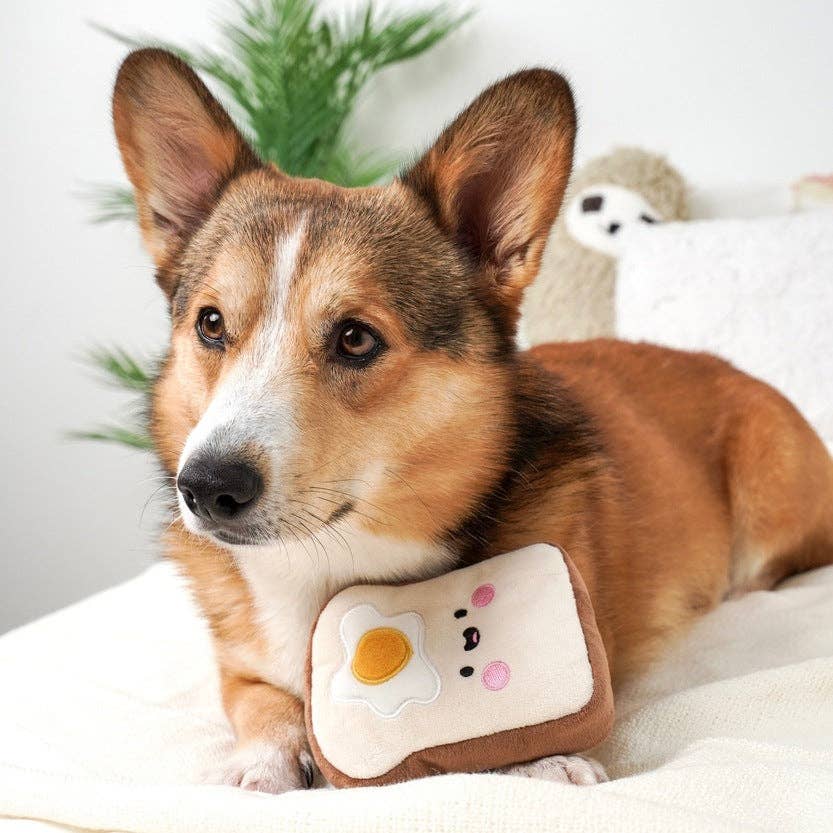 KIBU - Wholesale Pet Plush Toy - Dog - Toast Plush Dog Toy1