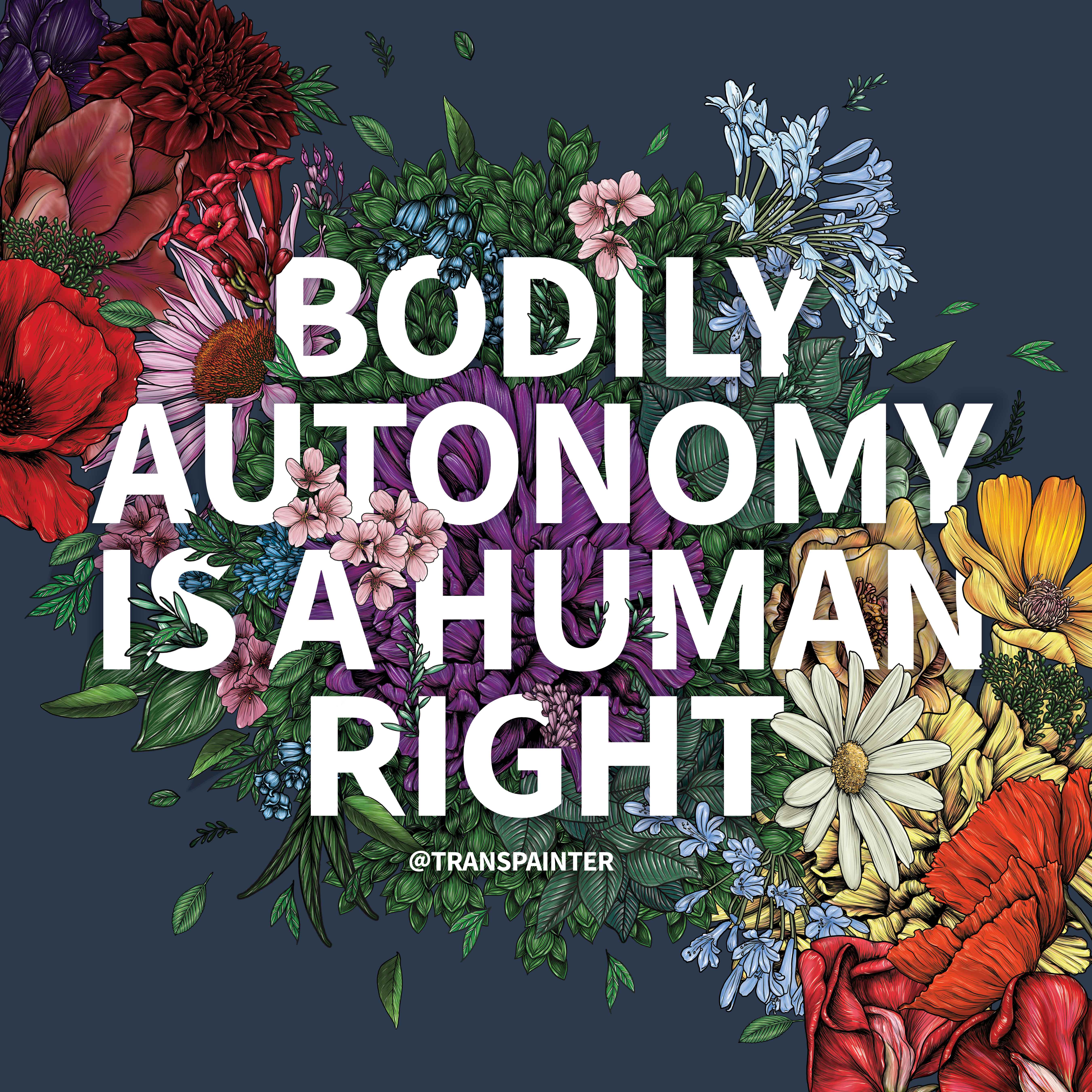 Transpainter - Wholesale Sticker - Bodily Autonomy is a Human Right Sticker | Feminist Stickers1