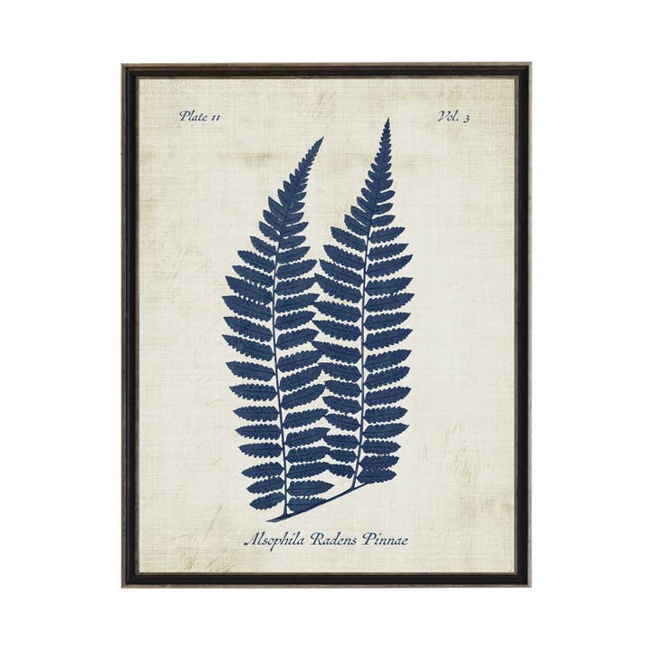 Helecho azul marino sobre fondo desgastado para venta al por mayor de Antique Curiosities Inc