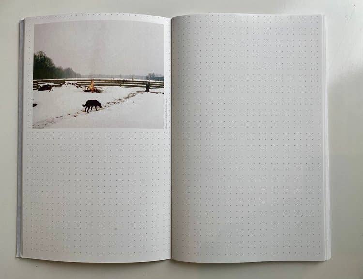 La Fille des Carnets - Wholesale Journal/Diary - What Do Photographs Dream Of5