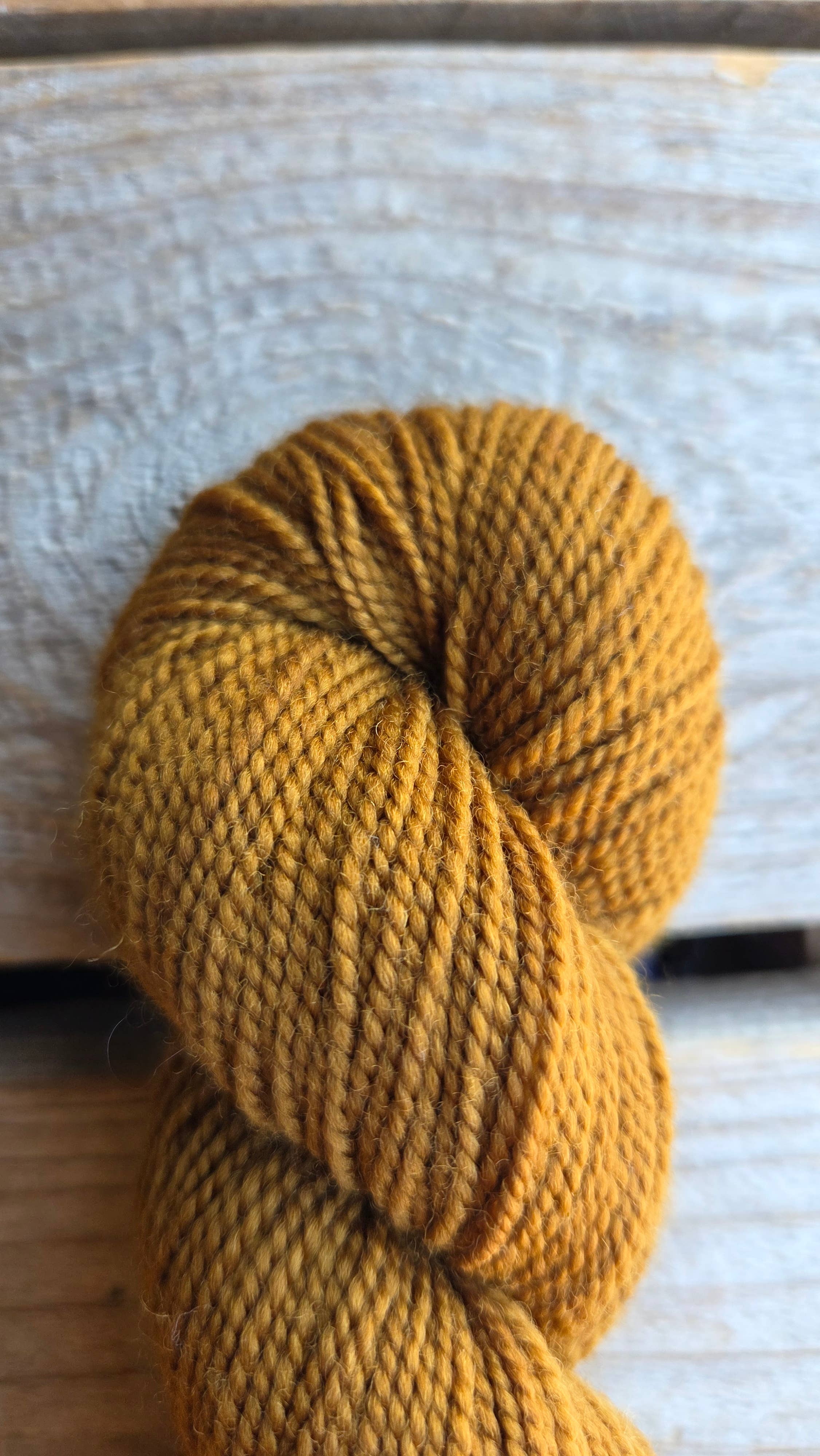 Koigu Wool Designs - Vendita all'ingrosso Lana - Palette KPM del Ringraziamento (filato merino fingering)7