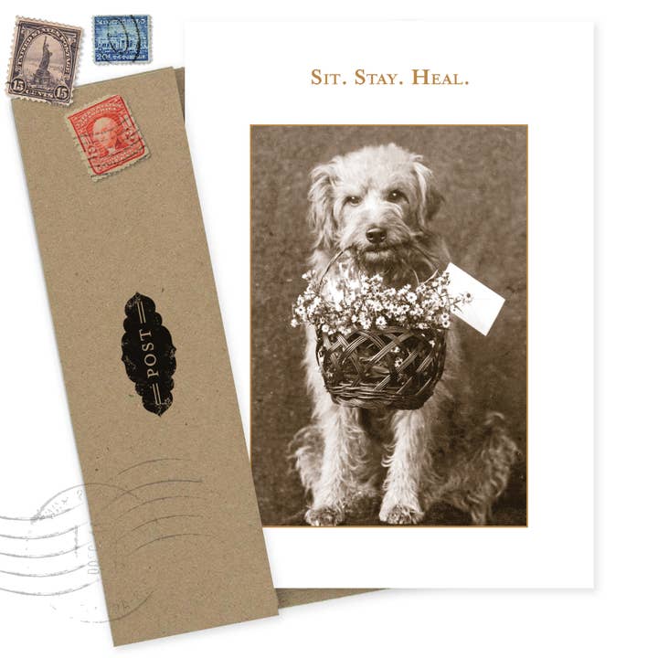 Shannon Martin Design - Wholesale Get Well Card - Sit. Stay. Heal. Get Well Card2