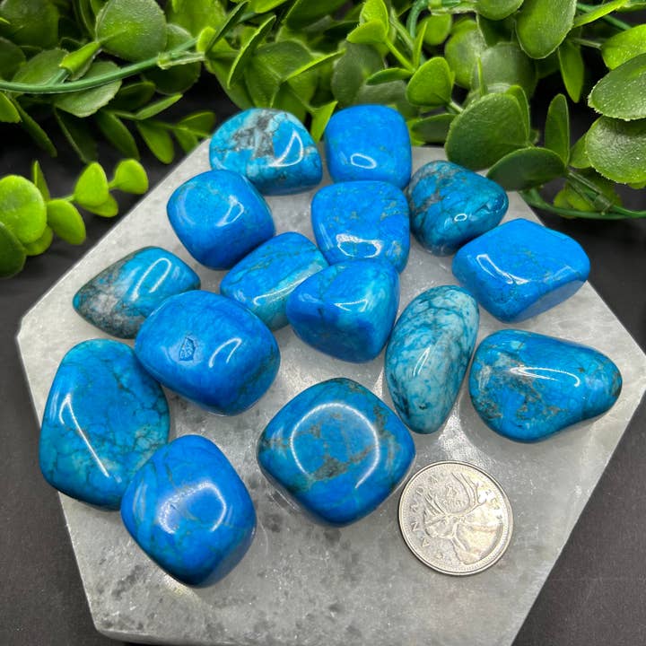 Moonbeam Healing - Wholesale Spiritual Stone/Crystal - Turquoise Howlite Tumbled Stone (M-L)1