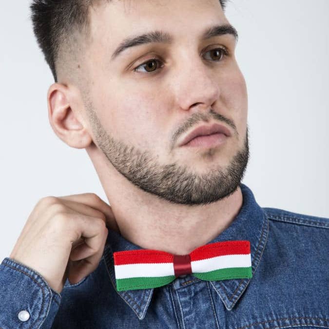 Potenciano Group SL - Wholesale Bow Tie - Men's - Ref. 602-SERIE.U - Elastic Bow Ties Fashion Motifs - by Layos60